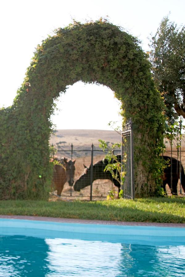 Monte Da Contenda Campo Maior Buitenkant foto